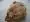 [Les rillettes]