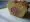 [Saucisse de Morteau en brioche]
