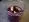 [Vin chaud 