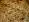 [Risotto cr�meux aux l�gumes et graines de lin]