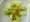 [Poireaux vinaigrette]