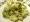 [4 petits choux cr�m�s]