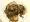 [Cro�te aux champignons]