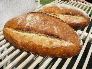 Pains cuits avec de la buée