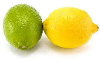 Le citron dans les recettes