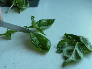 basilic