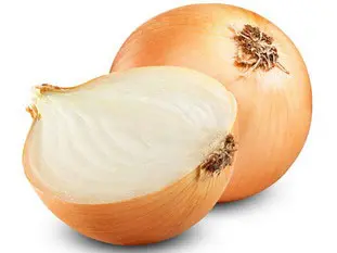oignon