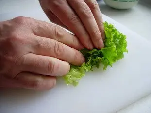 Chiffonnade de salade