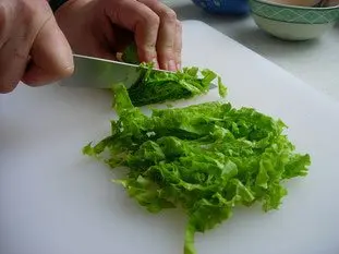 Chiffonnade de salade