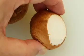 Champignons en escargots