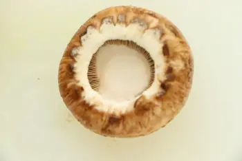 Champignons en escargots