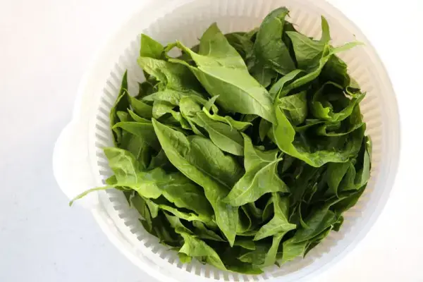 Purée de chou-fleur au saumon et épinards