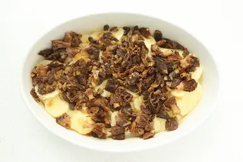 Gratin de pommes de terre aux morilles et vin jaune