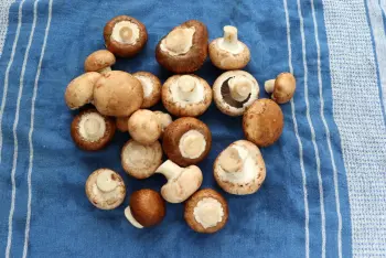 Œufs cassés aux champignons