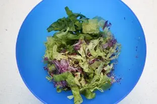 Salade poulet-avocat : etape 25 Salade poulet-avocat : etape 25