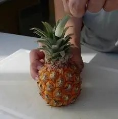 Comment peler à vif un ananas : Photo de l'étape 1