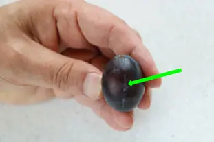 Comment congeler des prunes : Photo de l'étape 2