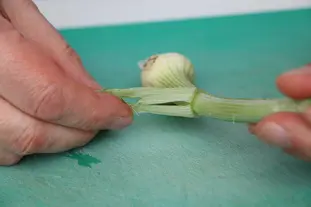 Comment préparer un oignon nouveau