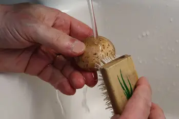 Comment préparer des champignons frais : Photo de l'étape 5