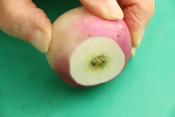 Comment préparer des navets