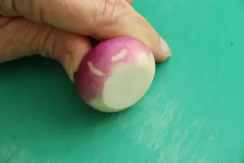 Comment préparer des navets