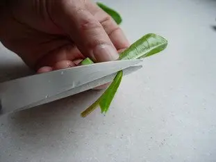 Comment préparer de l'oseille : Photo de l'étape 4