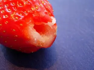 Il ne faut pas faire tremper les fraises dans l'eau : Photo de l'étape 1