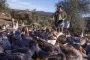 Du foie gras sans gavage, c'est possible