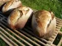 Calculateur pour pain au levain