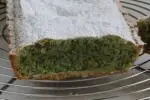 Croute à thé