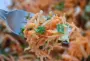 Salade de carottes, amandes effilées grillées et dés de Comté.