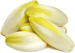 L'amertume des endives