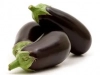 Aubergines