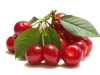 Cerises