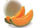 Melon