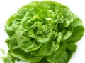 Salade verte