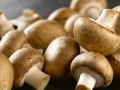 Champignons