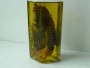 huile d'olive aux herbes