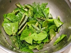 Salade d'herbe