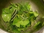 salade d'herbe