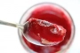[Confiture-gelée de prunes]
