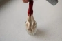 mousse de marron au siphon