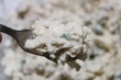 Salade de pois chiche à la libanaise