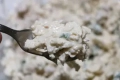 Salade de pois chiche à la libanaise