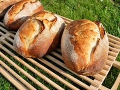 Pain au levain