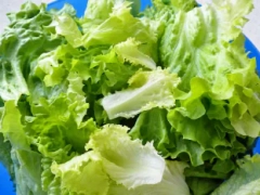 Comment préparer une salade