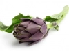 Artichauts violets : 16 recettes Artichauts violets
